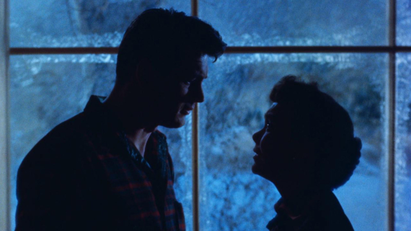 Still from ALL THAT HEAVEN ALLOWS. A silhouette of a man and a woman, standing in front of a window.